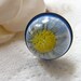 Blue Resin Ring, Pressed Daisy Ring, Nature Specimen, Eco Chic, Eco Ring, Daisy Jewelry, Pressed Flower Jewelry