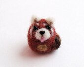 Mini red panda