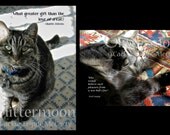 Kitty Love Cards, set of 2, blank with envelopes