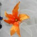 Orange Hawaiin Orchid Hair Clip