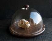 Large Glass Display Dome with Rustic Wooden Base - TheVintageParlor
