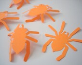 25 Halloween Bright Orange Tarantula Spider Die Cut Punch Decorations Embellishments - No410