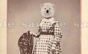 Chow Dog Art Print - Anthropomorphic Altered Victorian Photo  - 5 x 7 - Elpeth Wakefield - Chow Girl