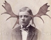 Moose Art Print - Anthropomorphic Altered Victorian Photo - 5 x 7 - Jedidiah Farnsworthy the Moose Boy