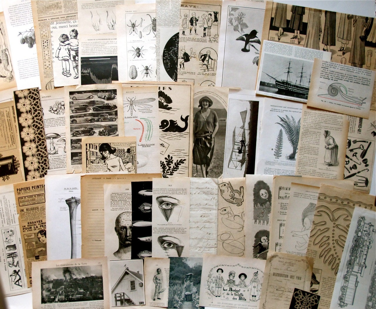 Vintage Black and White illustration paper pack - Drawings, graphics, designs and patterns