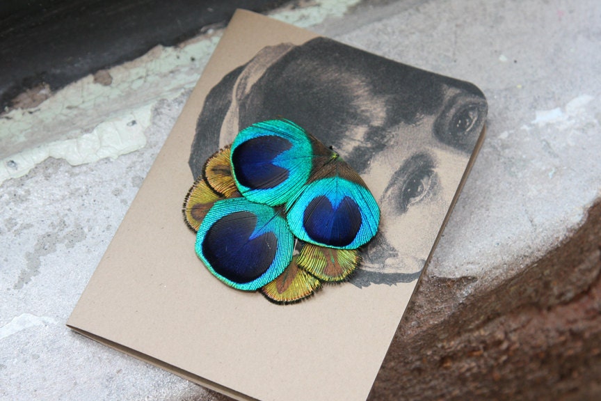 Stunning Peacock Tail Feathers and Plumage Hair Clip