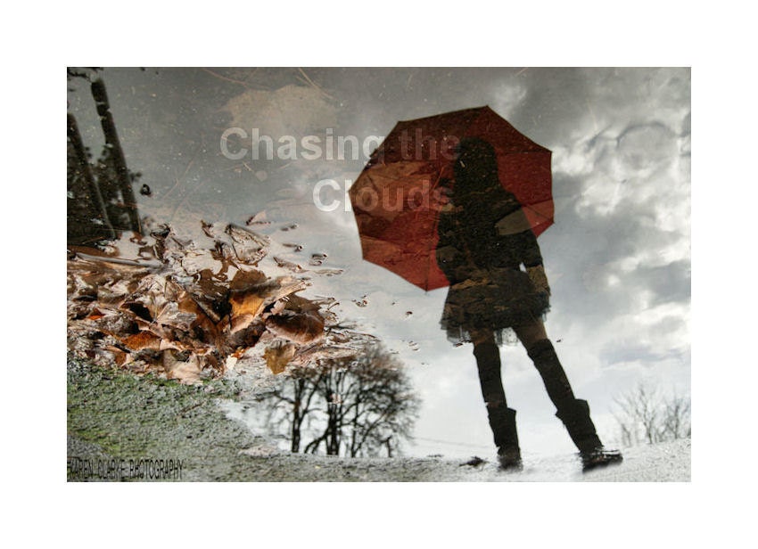 Any 5 8x10 8x11 or 8x12 Photographs