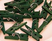 25 Deep Emerald Green - Tiny Wooden Clothespins- Hand Dyed - Eco Friendly - Woodland Garden - Wedding Wish Trees -Limited Edition