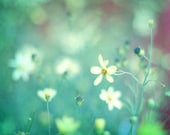 Flower Photography, Impressionistic Floral Print, Aqua Mint Teal Wall Art, Soft White Flowers Photo, Unisex Nursery Decor, 8x10 Print