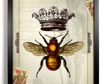 The Queen Bee Antique Illustration  8 x 10 Giclee Art Print Upcycled Collage Recycled Book Art Buy 2 Get 1 FREE