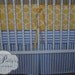 Custom Baby Crib Bedding- Design Your Own- Taza in Yellow