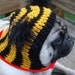 Dog Hat Little Devil / Made to Order