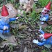 Zombie Gnomes: Collection FREE USA SHIPPING