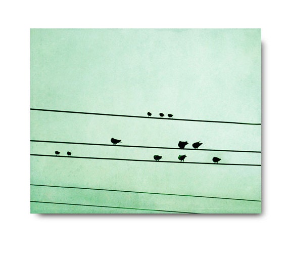Mint Bird on a wire photo, birds, mint green, urban, sky, cool photography, home decor, 123team, cool urban wall decor, fine art photograph
