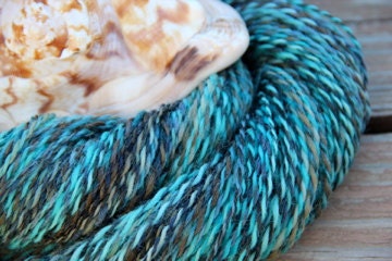 Sea Biscuit - Handspun Yarn
