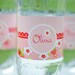 Strawberry Picnic Birthday Party Water Bottle Labels