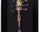 Knitted Earthworm Biology DIY Kit