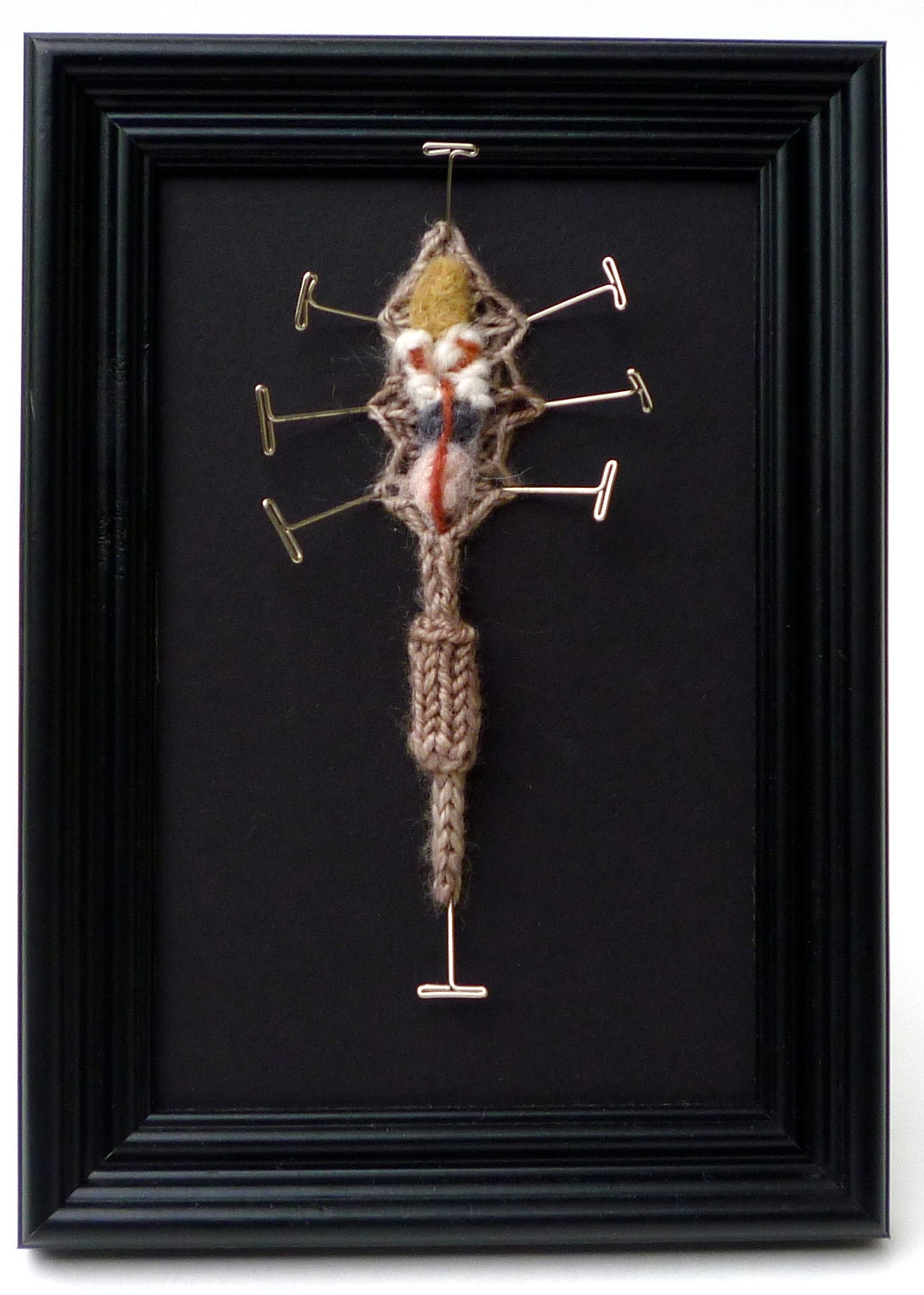 Knitted Earthworm Biology DIY Kit