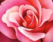 Original Drawing, 8x10, Rose, Flower, Woman, Bridal, Pink Rose, Pink Flower, Love, Red Rose, Wedding, Realistic, Gift, Mother's Day