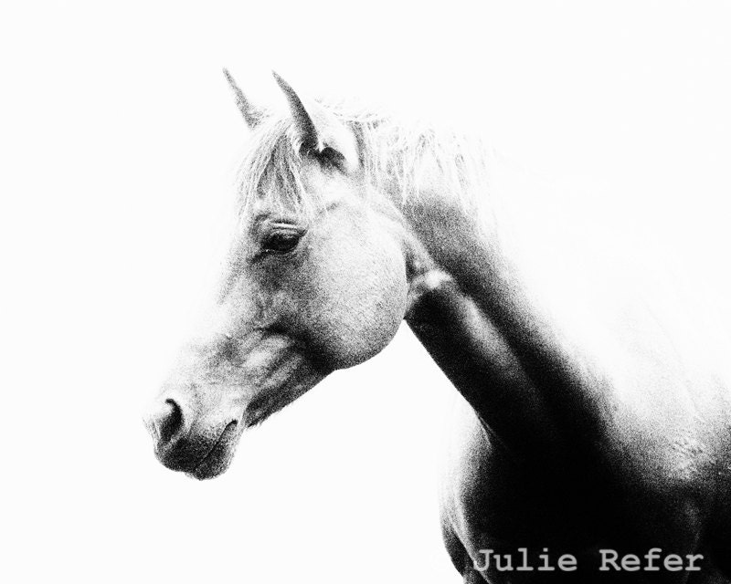 Horse Photography Black and White Abstract Horse Photo