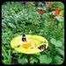 BUTTERFLY FEEDER. stained glass, copper, Red, 18K Gold