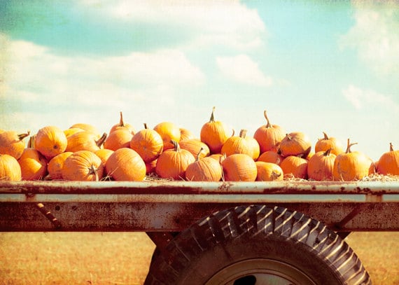 Pumpkin Photography - autumn fall print - orange blue brown white - country photography - wall art photo rural - 5x7 Photograph, "Harvest"