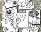Vintage botanical Flowers    5 in squares black white -  4 set  Digital Collage Sheest, Download , Print Jpeg Clip Art Images