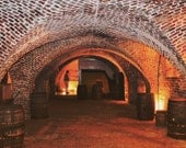 Charleston Dungeon, Barrel Ceiling, Wine Cellar  5x7 Fine Art Print