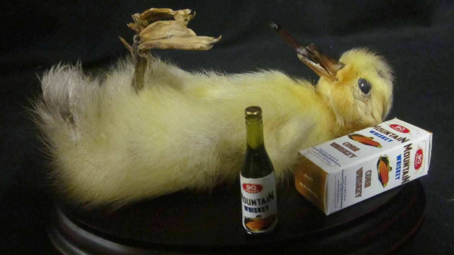 Taxidermy Drunken Duckling little party animal