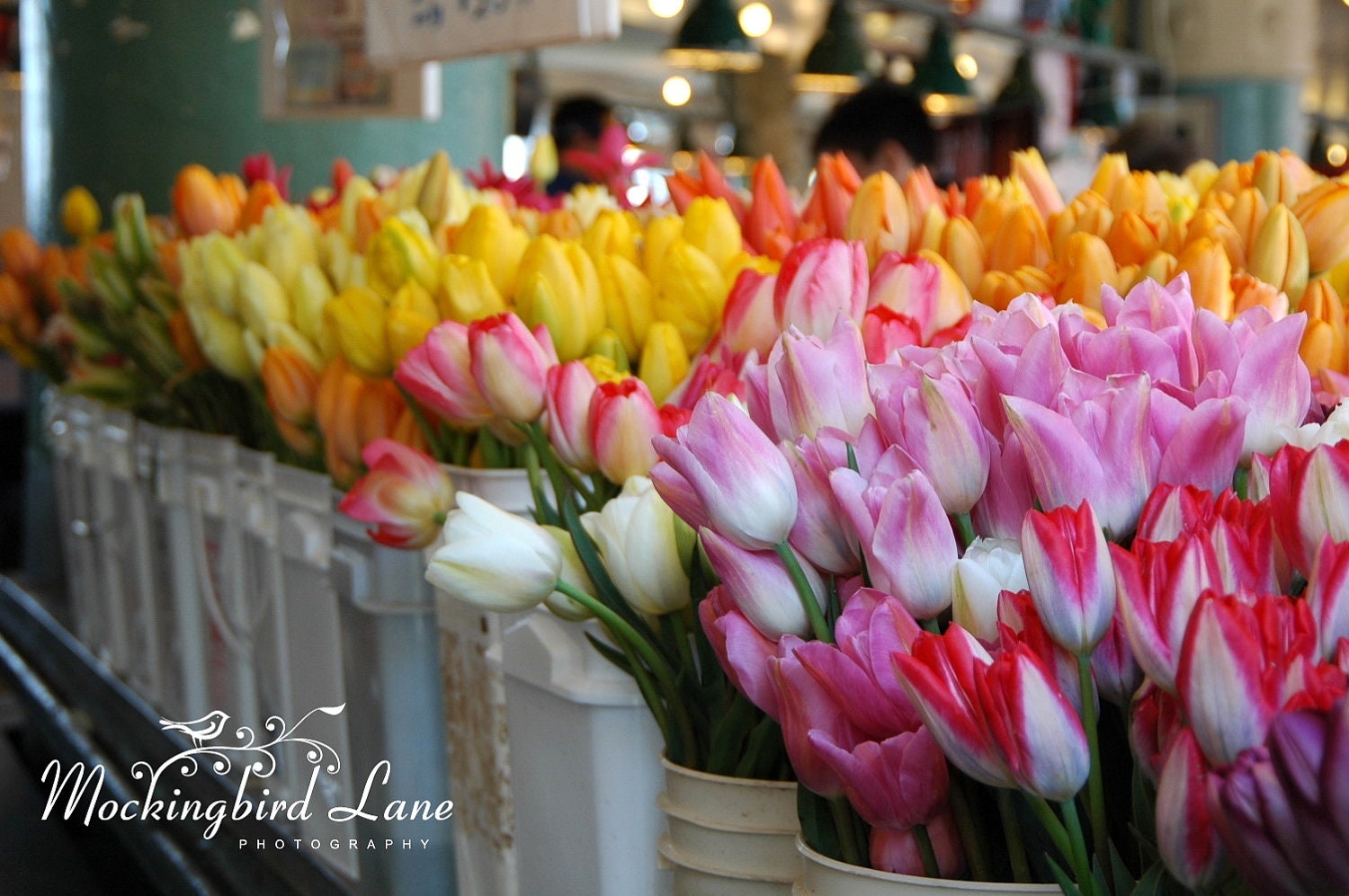 Fine Art Photography Print - Pike's Place Market Tulips, Seattle, 8x10