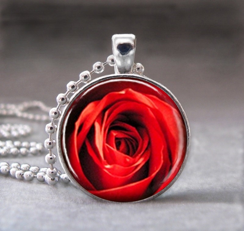 Red Rose Flower Close Up, Altered Art Glass Dome Photo Pendant Necklace - no. 007-62