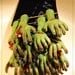 Pair of ZOMBIE Hands - CUSTOM bookmark - OOAK - (Made to order)