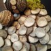 TREASURY ITEM - 50 pack assortment of Oak Natural Tree Wood discs for Rustic  Wedding decor, holidays, name tags, Crafts, DIY projects