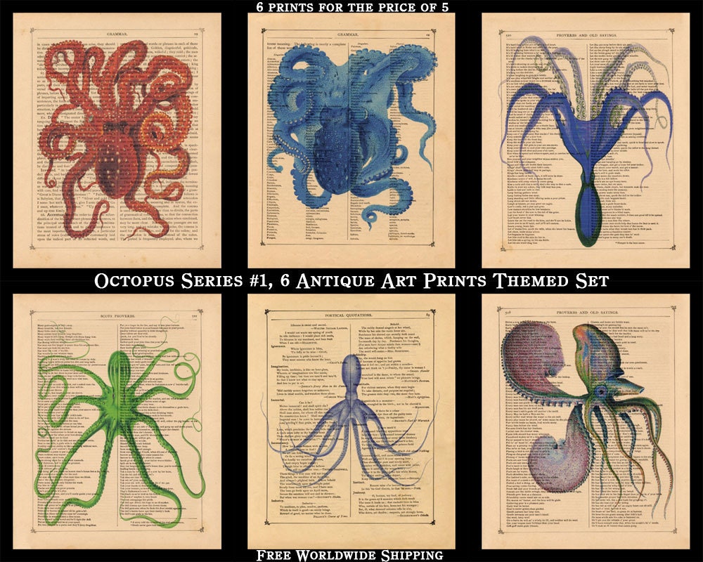 Vintage Octopus Series Number 1 Themed Set, 6 Antique Book Page Art Prints 8x10 Home Decor Wall Decor, Free Worldwide Shipping