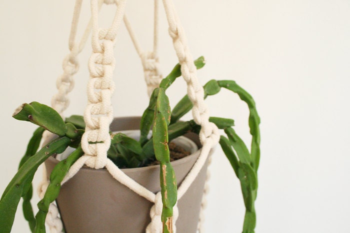 Large macrame plant hanger - natural