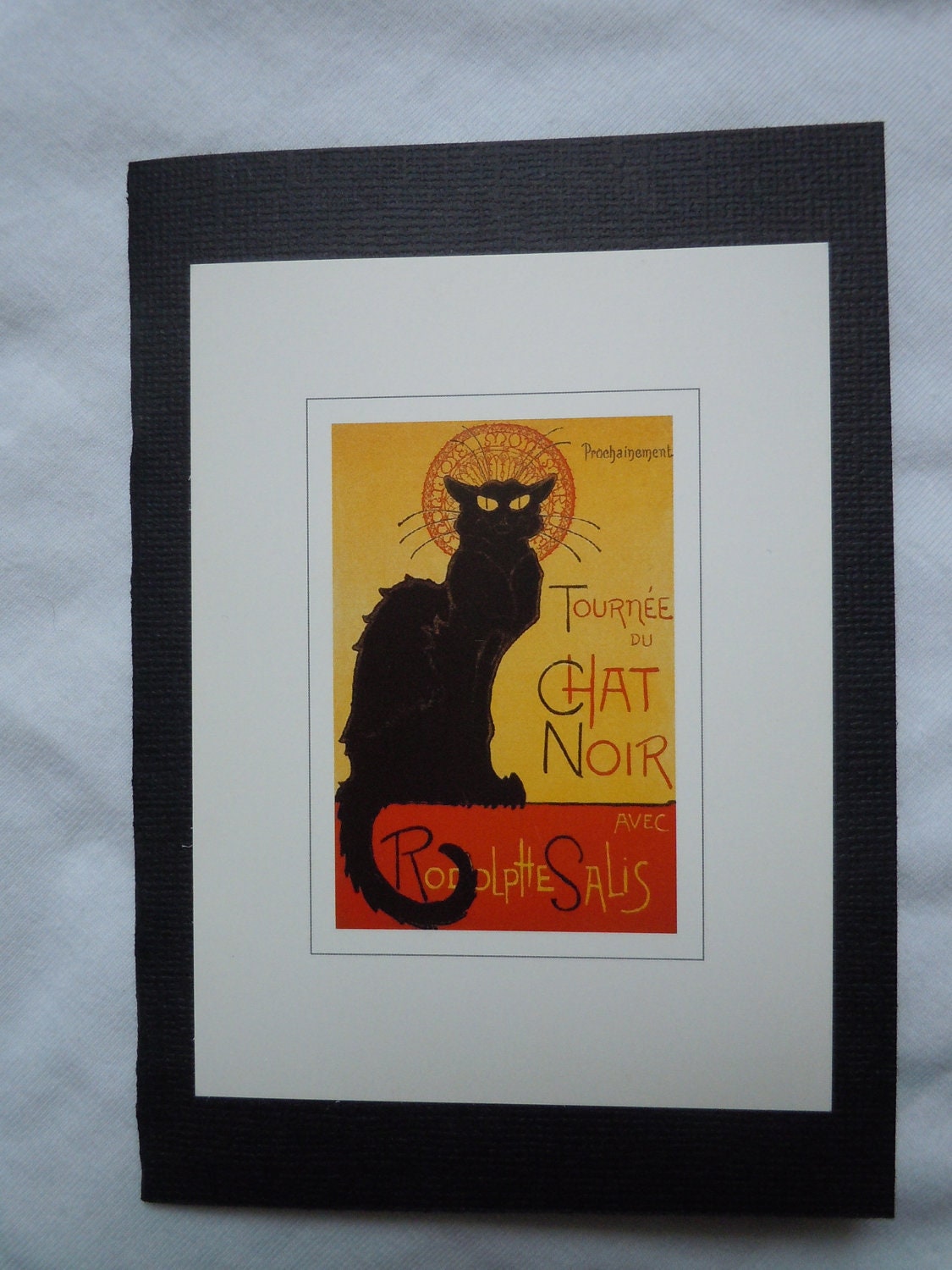 Chat Noir Passport Cover