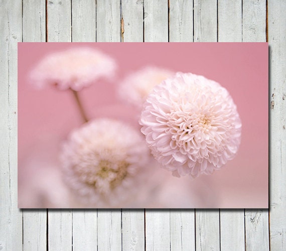 Flower photography - floral wall art - flower room decor - pink coral decor - floral fine art print 8x12 - girl nursery art print