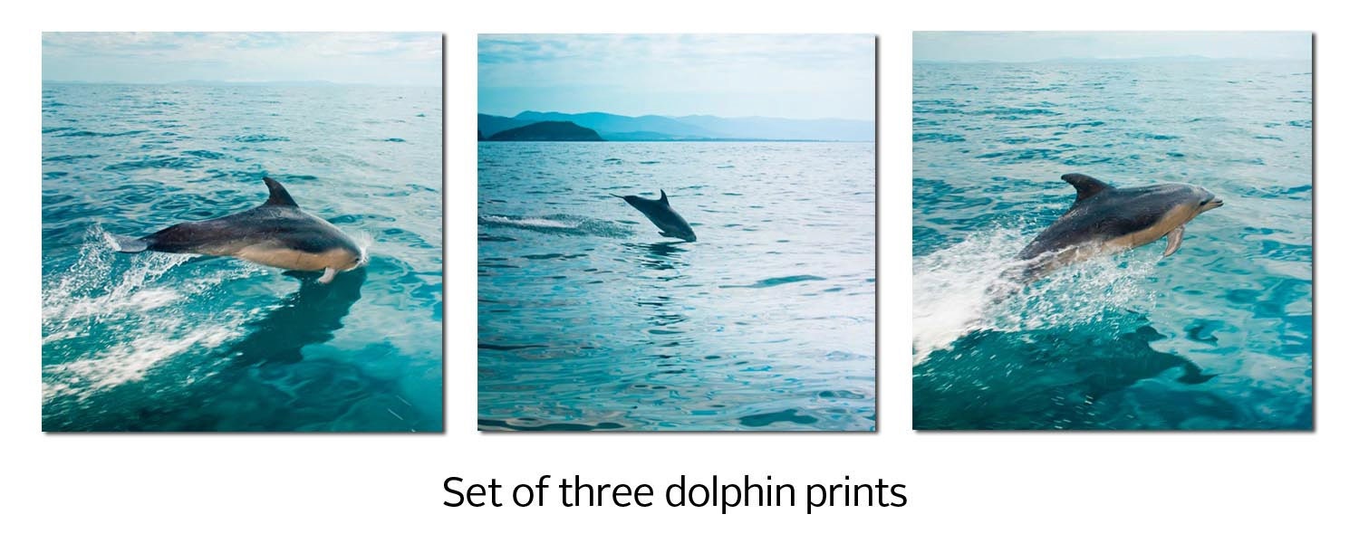 nautical decor set 5x5 dolphin fine art photography ocean photography nature sea life coastal prints blue marine clickety