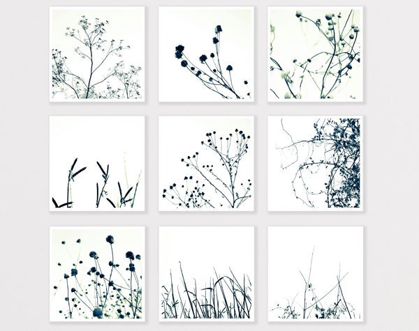 Nature Photo Print Set 8X8 Black and White Minimalist Bulk Wall Home decor for man gift for him