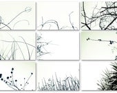 Nine 4x6 Framable Photo Cards Set, Framable Black and White nature art prints, minimalist notecards