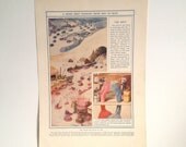 Circulatory Print - Vintage Blood Stream Book Plate