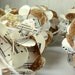 Handmade Upcycled Music Score Paper Ball Ornaments Vintage Set of Eight, Photography Props, Christmas Tree, Wedding Decorations