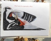 Humorous Card Oral Hygiene with Woodpeckers Dental Art Congratulations or Invitation to Good Health
