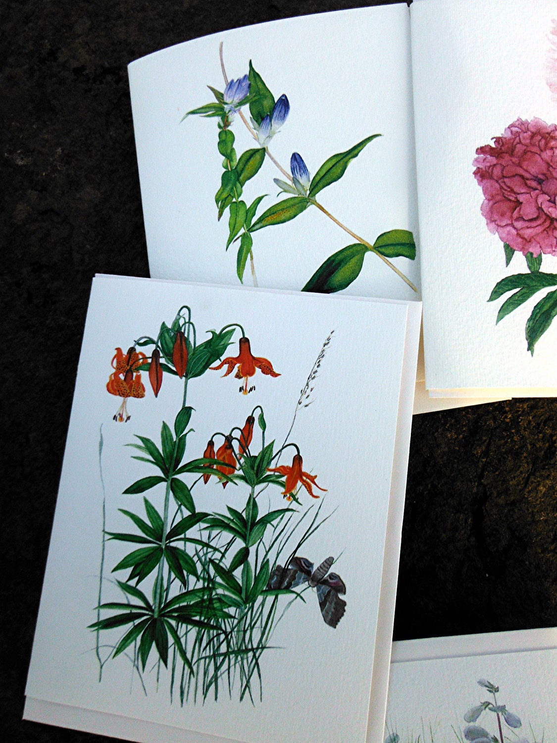 Handmade invitations Watercolor Botanicals Set of 6