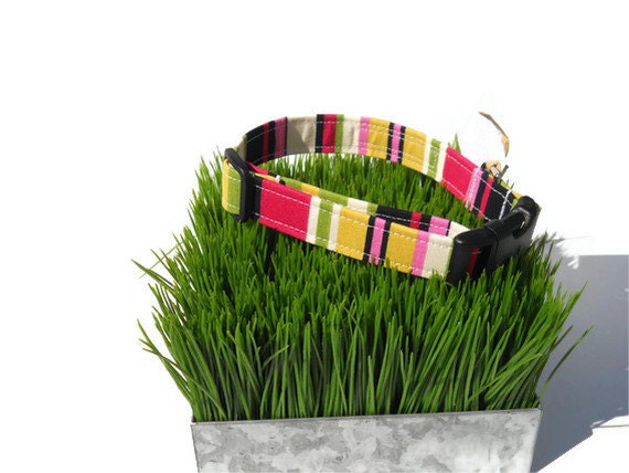 Pink striped dog collar from the "Pretty in Pink" collection....Any size...