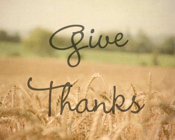 Thanksgiving Decor 8x10, Typography Nature Print, Fall Harvest Photography, Farmhouse Autumn Wall Art, Neutral Colors, Green Gold