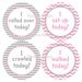 Gray and Pink Chevron Milestone Stickers...Baby's Firsts...Baby Stickers...Baby Month Stickers...Baby Shower Gift