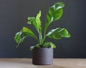 MTO stoneware planter brown modern pottery. small size. mid century modern pottery