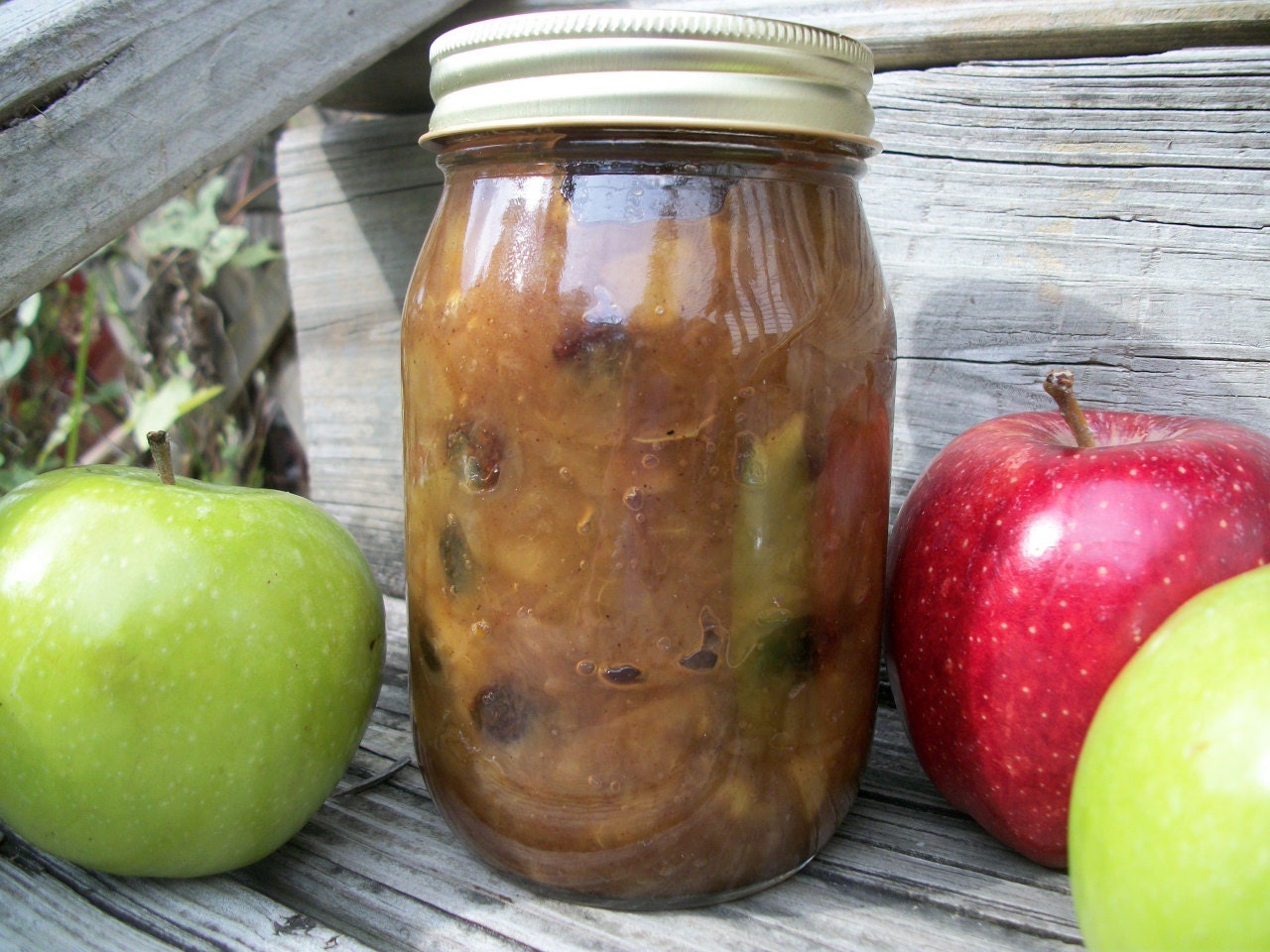 Cinammon Applesauce with Raisins - 1 Pint (16 oz.) Jar  - Stroble Farms