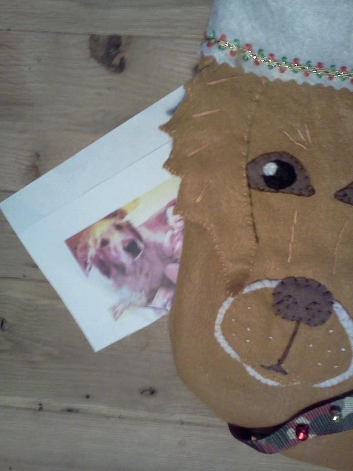 Your Dog or Cat on a Christmas Stocking Whimsical -Order NOW for Christmas 2013
